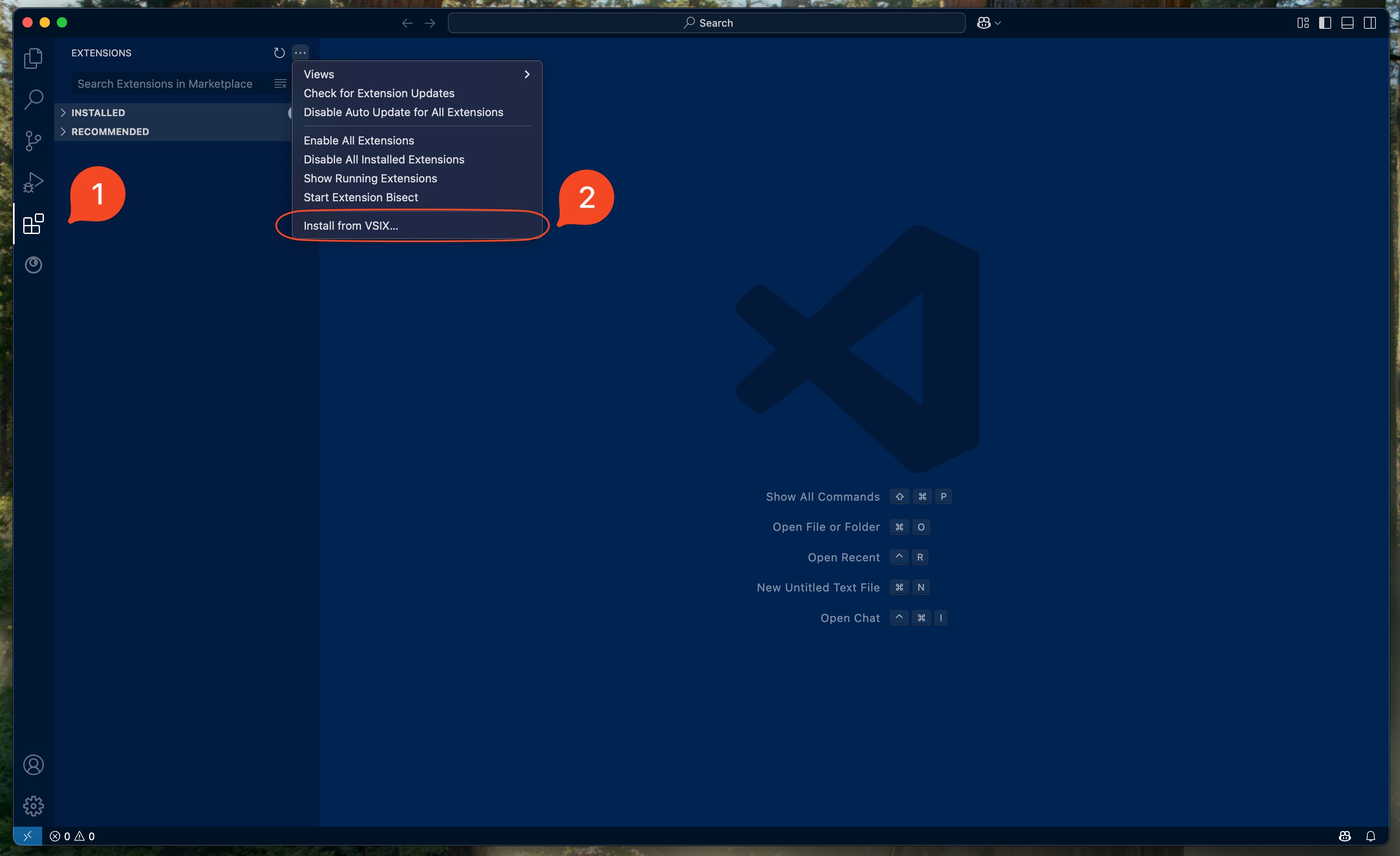 Step 1: Install from VSIX