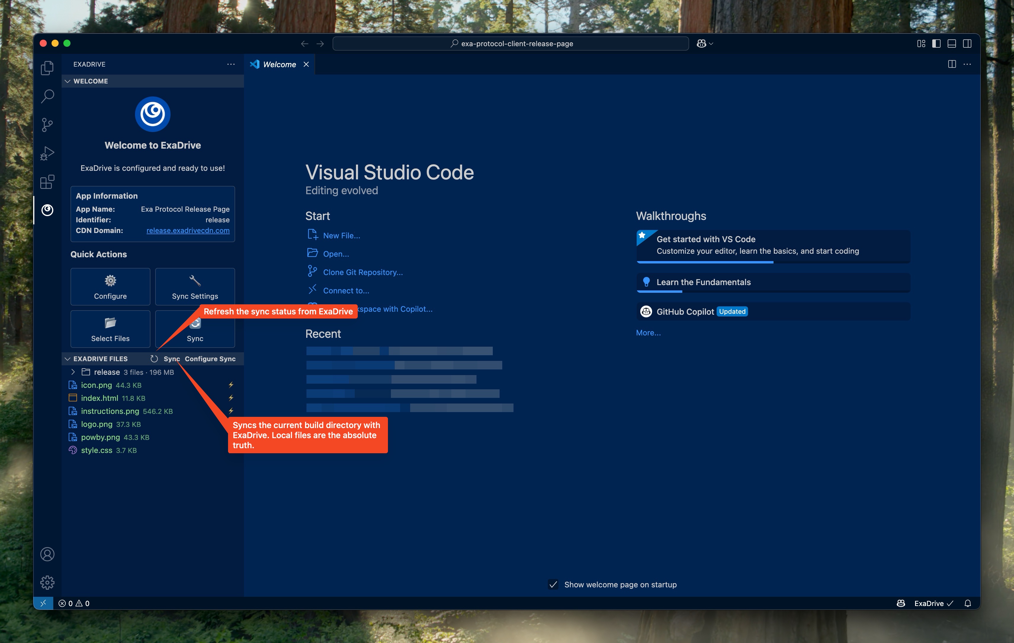 Step 5: Sync Status and Actions